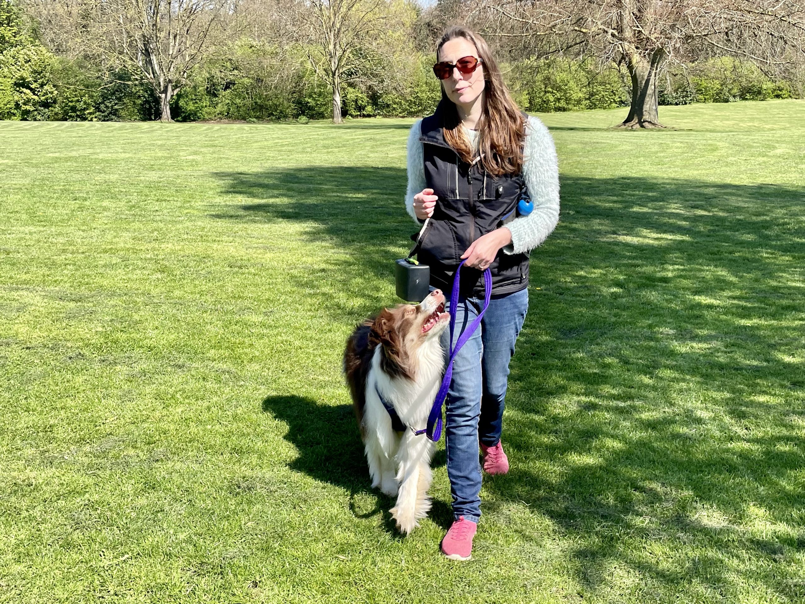ReD AND mE jess richardson and red the border collie