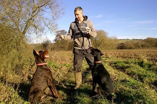 roger-outdoor-dog-training-behaviour-photo Roger Taylor reactive dog program